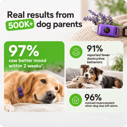 FurLife™ Imprint - Relax and Calming Pheromone Pendant