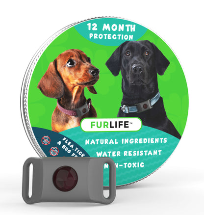 FurLife™ 12 Months Flea and Tick Free