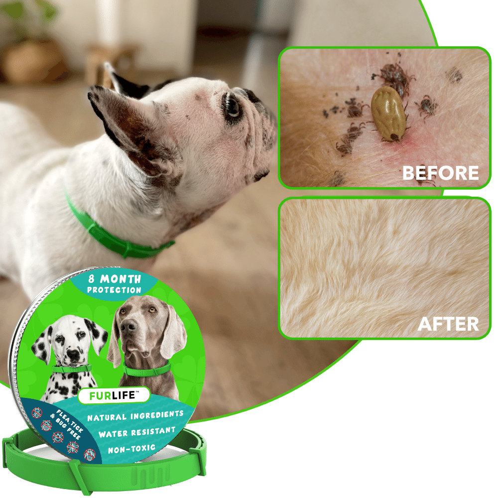 FurLife™ - 8 Months All Natural Flea and Tick Collar for Dogs