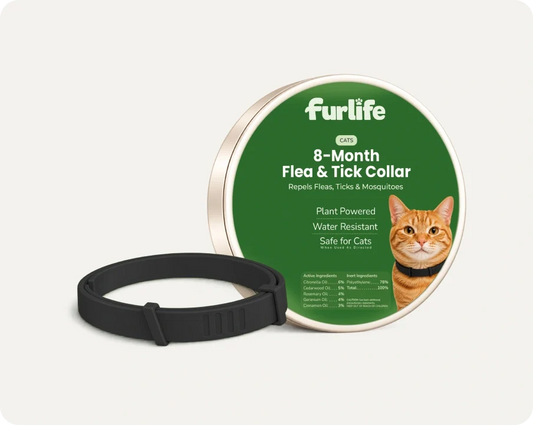 Natural Pheromone Calming Collar for Cats (TEST)
