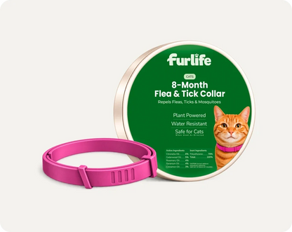 Natural Pheromone Calming Collar for Cats (TEST)