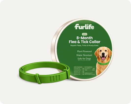 Natural Pheromone Calming Collar for Dogs (TEST)