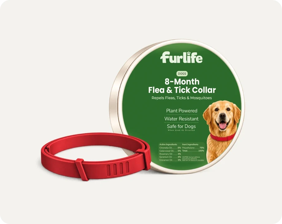 Natural Pheromone Calming Collar for Dogs (TEST)
