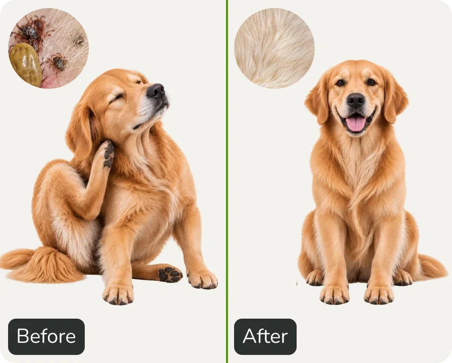 Flea & Tick Shampoo for Dogs and Cats (TEST)