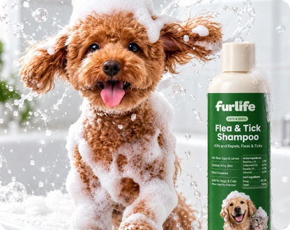 Flea & Tick Shampoo for Dogs and Cats (TEST)